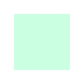 Colorworks Premium Solid Frosted Mint - 9000-752